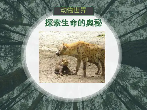 探索生命的奥秘