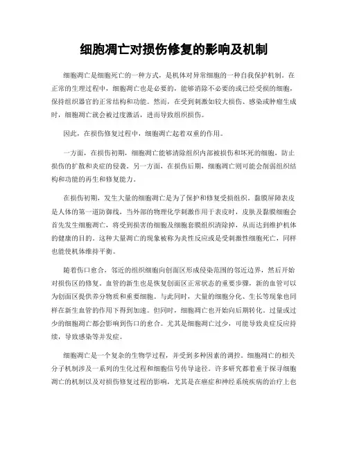 细胞凋亡对损伤修复的影响及机制