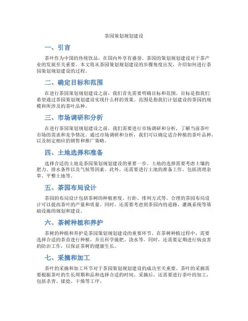 茶园策划规划建设