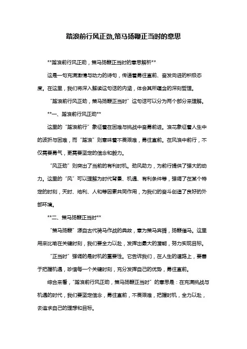 踏浪前行风正劲,策马扬鞭正当时的意思