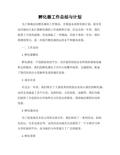 孵化器工作总结与计划