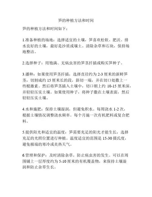 笋的种植方法和时间