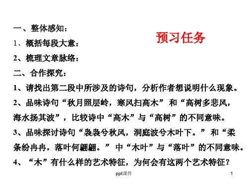 《说木叶》优秀课件ppt课件