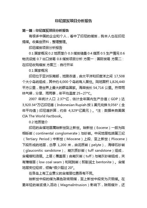 印尼煤炭项目分析报告