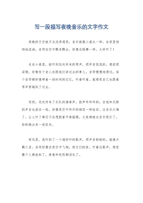 写一段描写夜晚音乐的文字作文