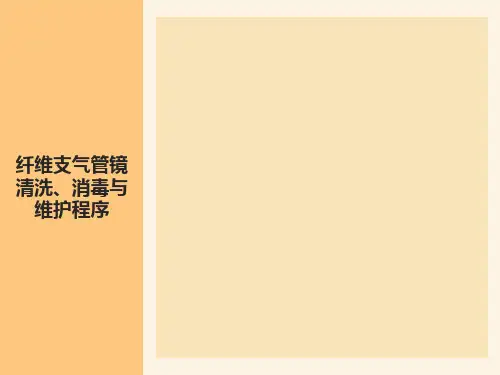 纤维支气管镜清洗、消毒流程