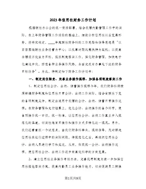 2023年信用社财务工作计划(二篇)