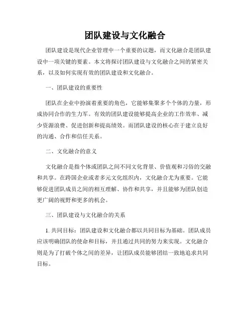 团队建设与文化融合