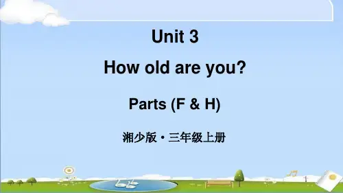 2024年新湘少版三年级上册英语课件 Unit 3 第3课时 