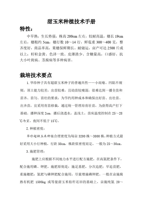 甜玉米特性及栽培技术5.23