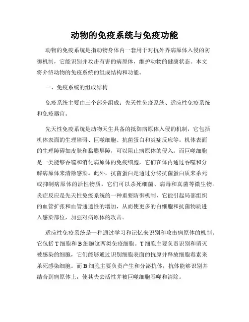 动物的免疫系统与免疫功能