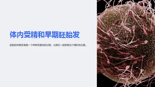 体内受精和早期胚胎发