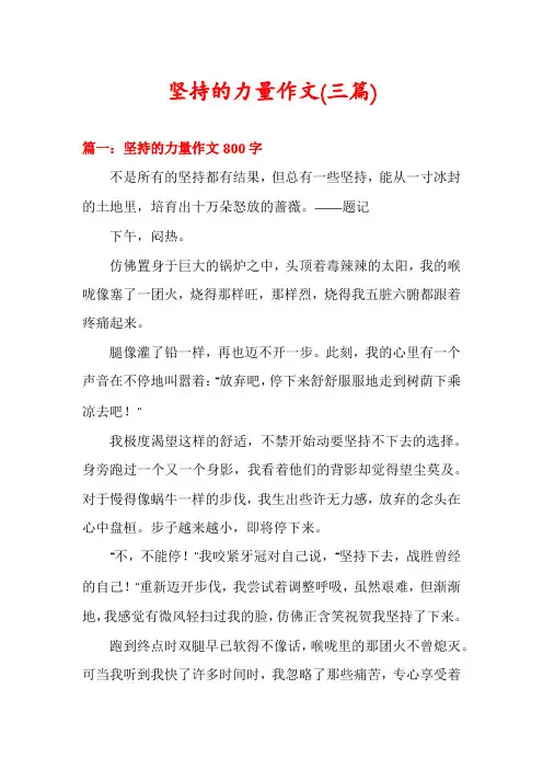 坚持的力量作文(三篇)