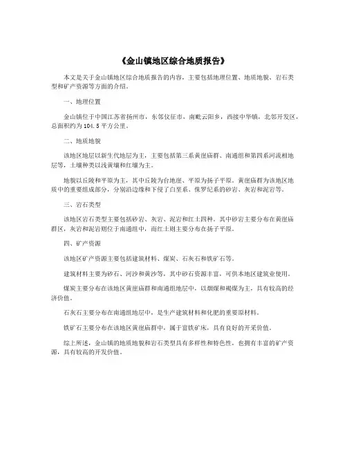 《金山镇地区综合地质报告》
