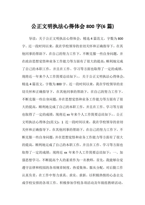 公正文明执法心得体会800字(6篇)