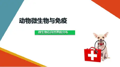 消毒与灭菌—微生物在自然界中的分布(动物微生物与免疫课件)