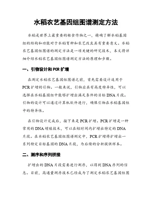 水稻农艺基因组图谱测定方法