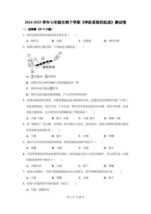 2024-2025学年七年级生物下学期《神经系统的组成》测试卷及答案解析