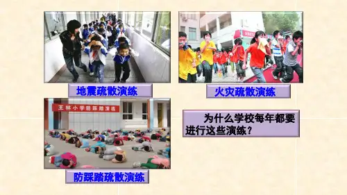 人教版道德与法治七年级上册 9.1 守护生命 课件(共25张PPT)