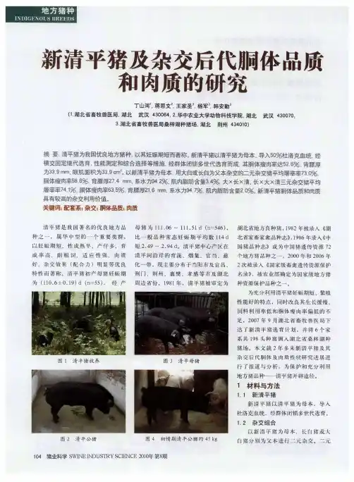 新清平猪及杂交后代胴体品质和肉质的研究