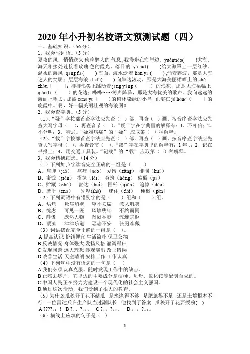 2020年小升初名校语文预测试题(四)