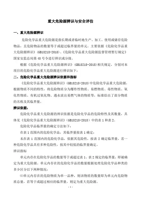 重大危险源辨识与安全评估报告模板