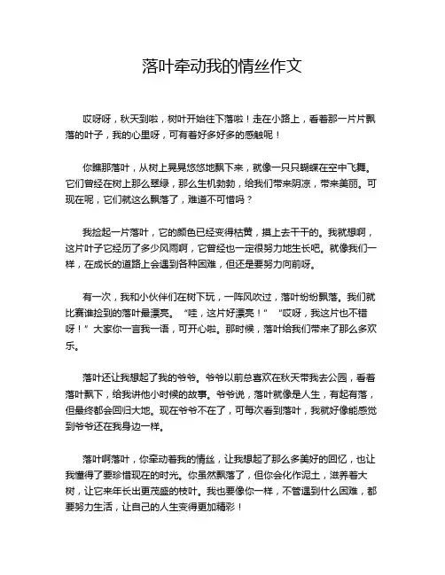 落叶牵动我的情丝作文