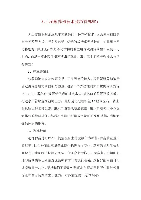 无土泥鳅养殖技术技巧有哪些？