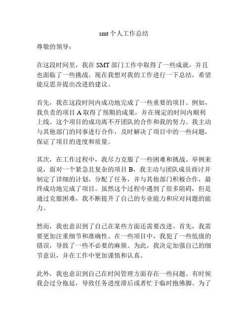 smt个人工作总结