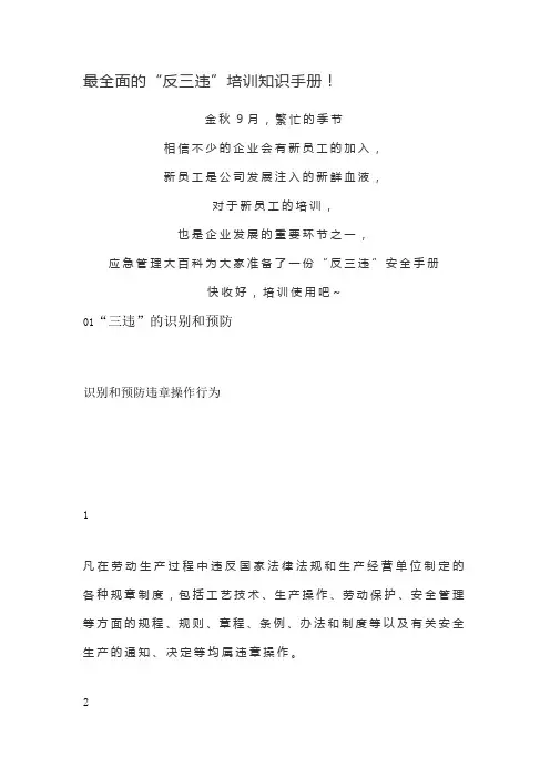 最全面的“反三违”培训知识手册!