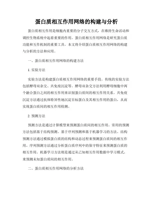 蛋白质相互作用网络的构建与分析