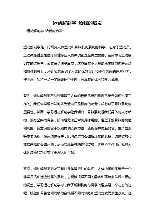 运动解剖学 给我的启发