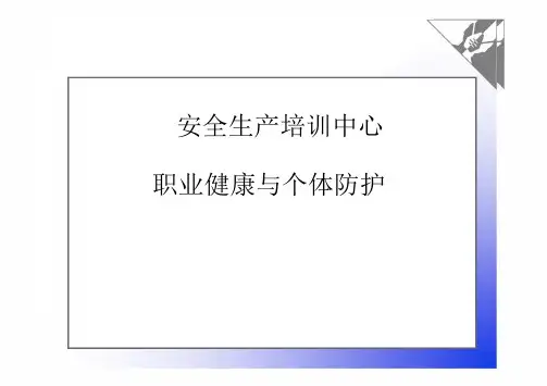 职业健康与个体防护