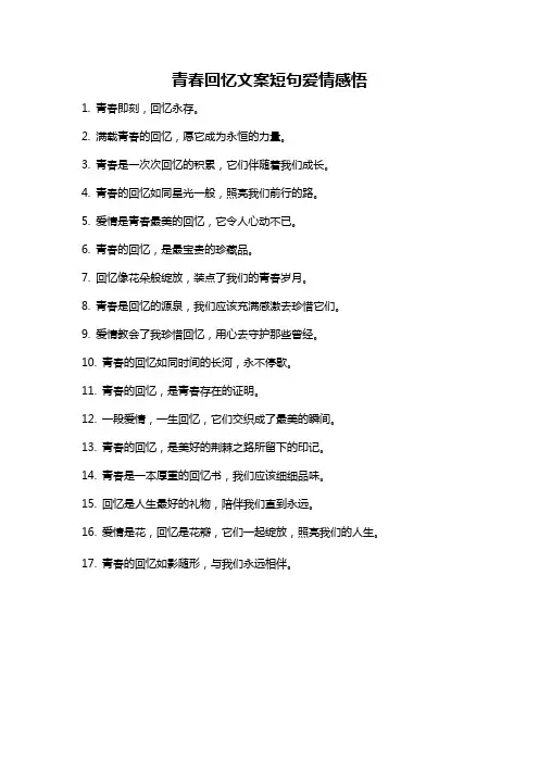 青春回忆文案短句爱情感悟