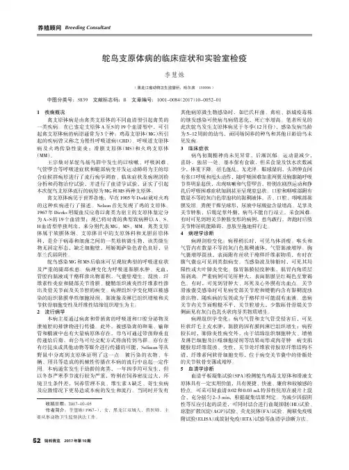 鸵鸟支原体病的临床症状和实验室检疫