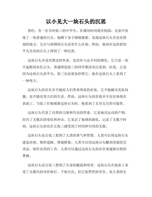 以小见大一块石头的沉思