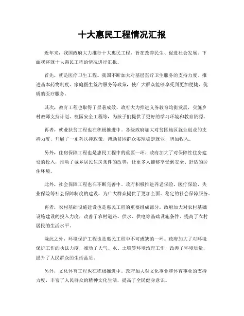 十大惠民工程情况汇报