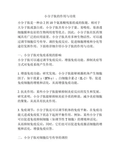 小分子肽的作用与功效