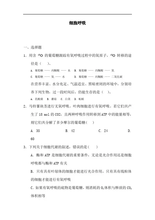 最新高中生物-高一生物细胞呼吸检测试题28 精品