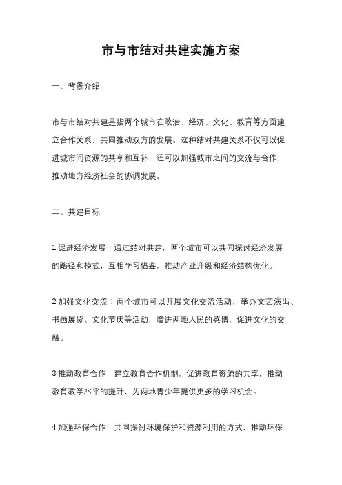 市与市结对共建实施方案