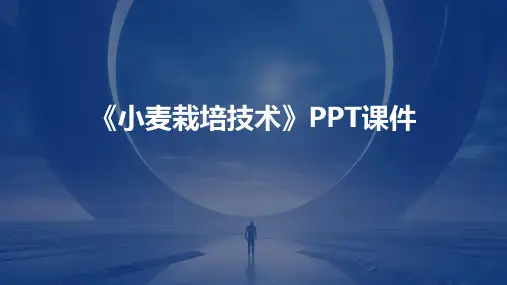 《小麦栽培技术》PPT课件