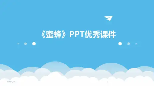 2024版《蜜蜂》PPT优秀课件