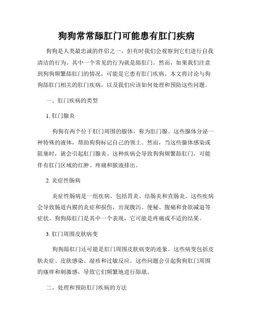 狗狗常常舔肛门可能患有肛门疾病