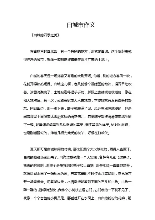 白城市作文