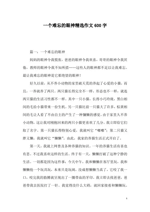 一个难忘的眼神精选作文600字