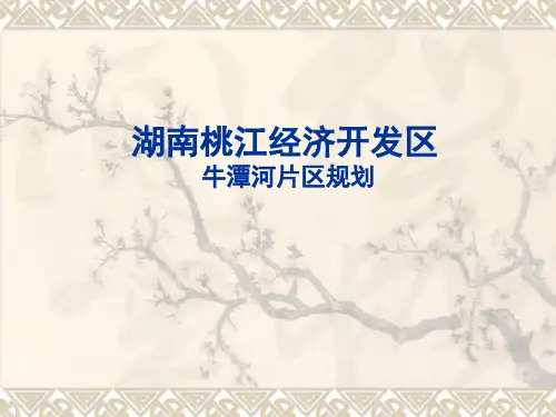 桃江经济开发区牛潭河分区规划