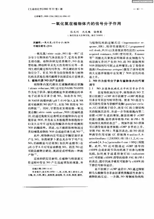 一氧化氮在植物体内的信号分子作用