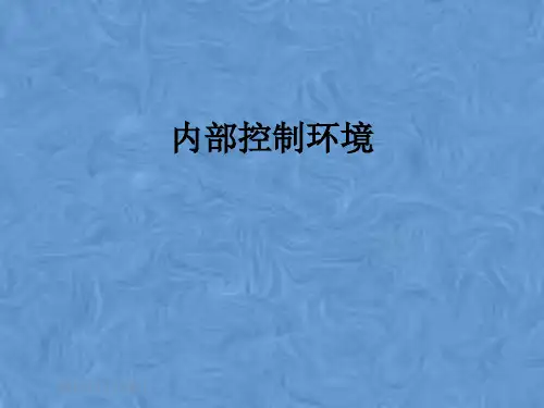 内部控制环境