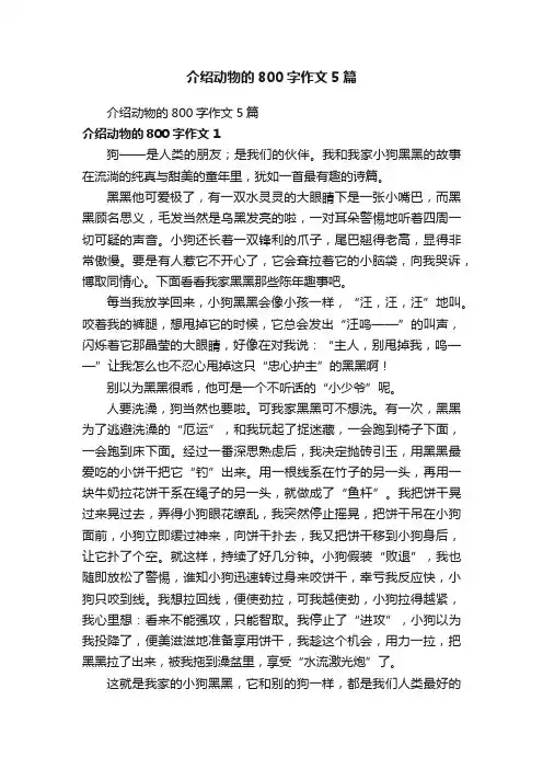 介绍动物的800字作文5篇