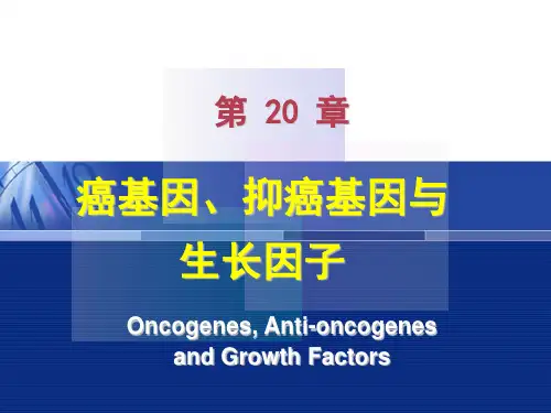生物化学课件：第20章癌基因、抑癌基因与生长因子